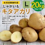 じゃがいも きたかむい Lサイズ 約10kg