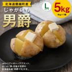 じゃがいも 男爵 Lサイズ 約5kg