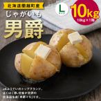 じゃがいも 男爵 Lサイズ 約10kg