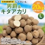 じゃがいも 男爵 Lサイズ 約10kg