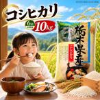 令和8年度産 こしひかり 10kg