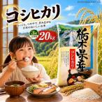 令和8年度産 こしひかり 5kg