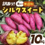 洗いさつまいも 無選別 10kg