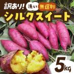 土付きさつまいも シルクスイート 無選別 5kg