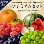 定期便 厳選フルーツ10~12種プレミアムセット