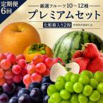 定期便 厳選フルーツ5~7種プレミアムセット