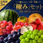 毎月1回連続3か月 計3回 極上フルーツ5~7種 極み セット
