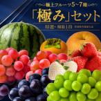 極上フルーツ5~7種 極み セット 共通返礼品