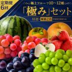 毎月1回連続6か月 計6回 極上フルーツ10~12種
