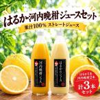 果汁100% ストレートジュース はるかジュース 1本