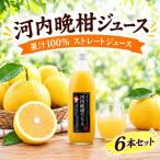 果汁100% ストレートジュース 河内晩柑ジュース 6本