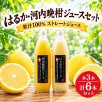 果汁100% ストレートジュース はるかジュース