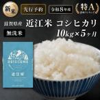 新米 特A受賞歴 米 無洗米 定期便 近江米 コシヒカリ 10kg