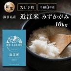 新米 特A受賞歴 みずかがみ 米 近江米 白米 10kg