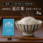 新米 米 ミルキークイーン 近江米 白米 5kg