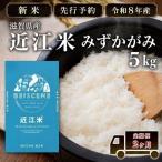 新米 米 定期便 ミルキークイーン 近江米 白米 5kg