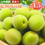 訳あり 南高梅 青梅 約4.5kg