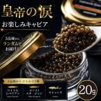 fu.... налог черная икра [ пробный черная икра ] император. слезы 20g 3 товар вид из Random .1 вид Miyazaki префектура Kobayashi город 