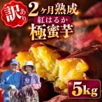 さつまいも サツマイモ 紅はるか 5kg