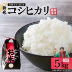 精米 コシヒカリ 5kg