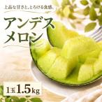 メロン メロン青肉 2027年発送 1玉