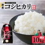 精米 コシヒカリ 10kg
