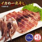 イカ 一夜干し 1.8kg以上