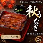 うなぎの蒲焼き 2尾