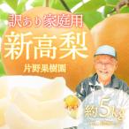新高梨 約5kg