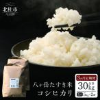 八ヶ岳たすき米 コシヒカリ 5kg×2袋