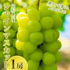 大粒ぶどう シャインマスカット 1房