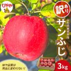 2026年産 りんご 訳あり サンふじ 3kg