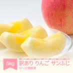 訳あり りんご サンふじ 約5kg