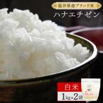 ハナエチゼン 精米 2kg