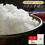 ハナエチゼン 精米 5kg