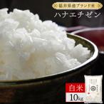 ハナエチゼン 精米 10kg