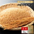 米 コシヒカリ 定期便6回 ハナエチゼン 玄米 5kg