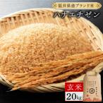 ハナエチゼン 玄米 20kg