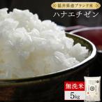 ハナエチゼン 無洗米 5kg