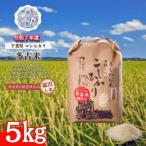 多古米コシヒカリ 精米5kg 5kg×1袋
