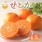 中島産 せとか 約4.5kg