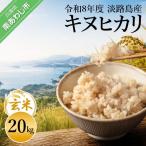 令和8年産米 淡路島産キヌヒカリ 玄米20kg