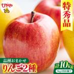 2回定期便 2026年産 りんご 5kg×2回