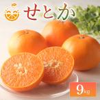 中島産 せとか 約9kg