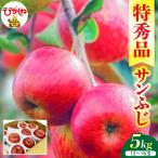 2026年産 りんご サンふじ 5kg