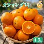 中島産 カラマンダリン 約4.5kg