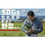 農家のおすそわけ 訳アリ 野菜便 お試し RT3404