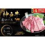 神戸牛 焼肉 肩ロース肉 600g
