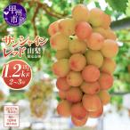 クール配送 品種 サンシャインレッド 合計1.2kg以上