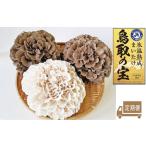 定期便 鳥取の宝 舞茸 3株 セット